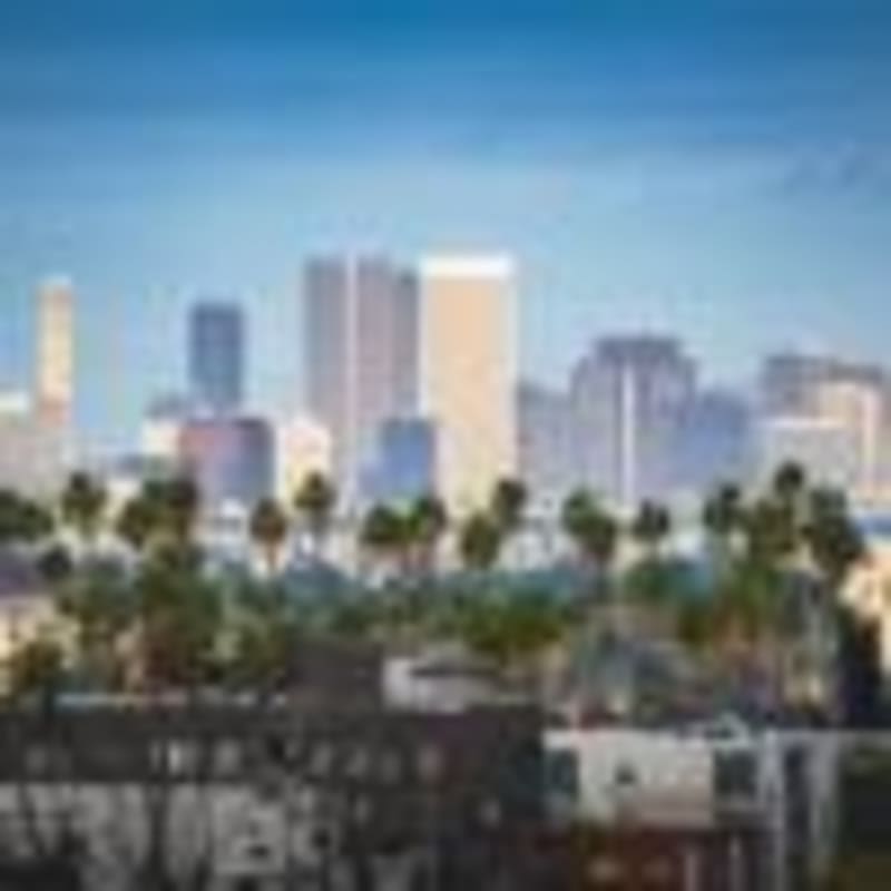 200 Volunteers Count Pasadena's Homeless to Help Them - Image 4