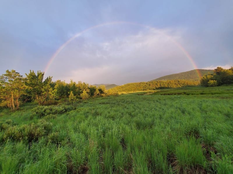 Adirondacks Honors Everyday Heroes with $1,000 Awards - Image 3