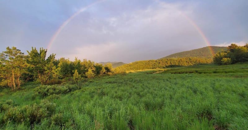 Adirondacks Honors Everyday Heroes with $1,000 Awards