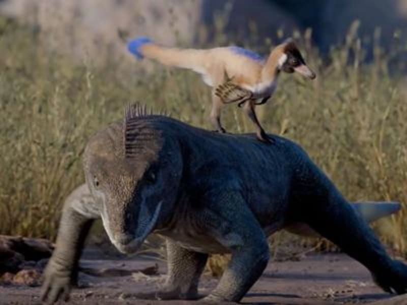 90-Million-Year-Old Fossil Rewrites Dinosaur History - Image 5