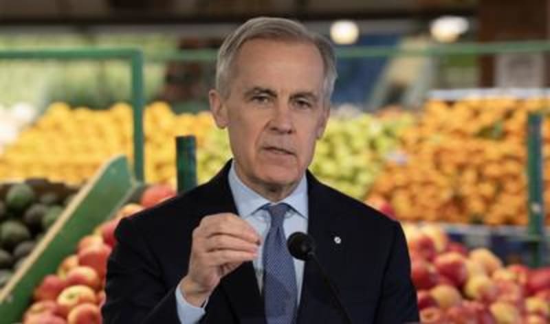Canada Launches $1.9B Benefit for Grocery Affordability - Image 3