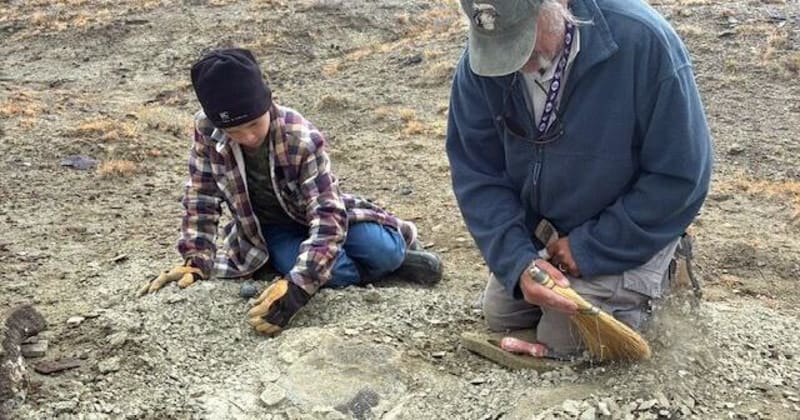 Young boy and paleontologists excavating ancient turtle fossil from Wyoming desert ground