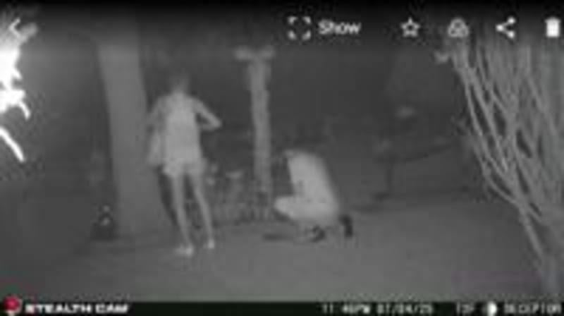 Michigan Couple Rescues 60 Baby Deer, Educates Thousands - Image 3