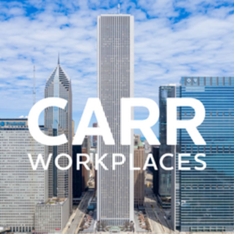 USA Wins First Olympic Hockey Gold in 46 Years - Image 5