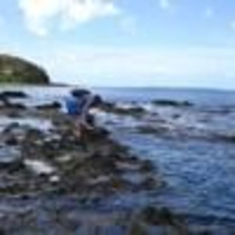 Guam Brings 40+ Experts Together to Restore Island Forests - Image 4