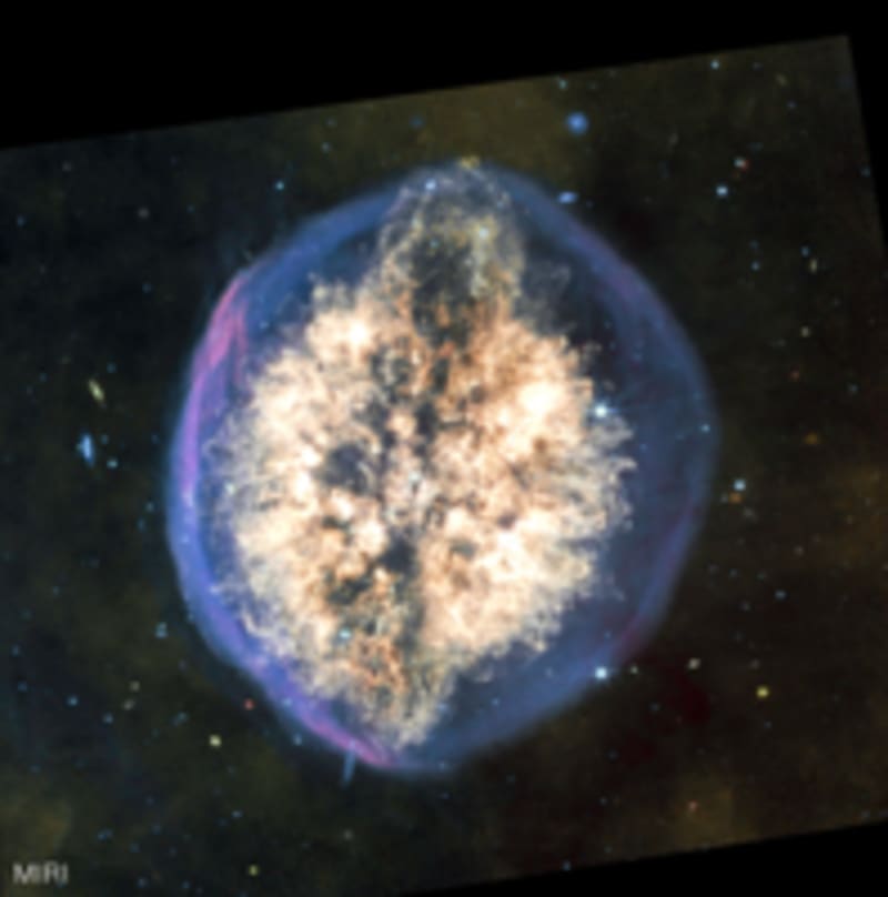 Volunteers Fill 3 Dumpsters to Save Veteran's Home - Image 5