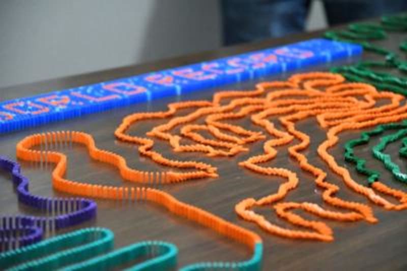 Twins Break World Record with 9,262 Tiny Dominoes - Image 5