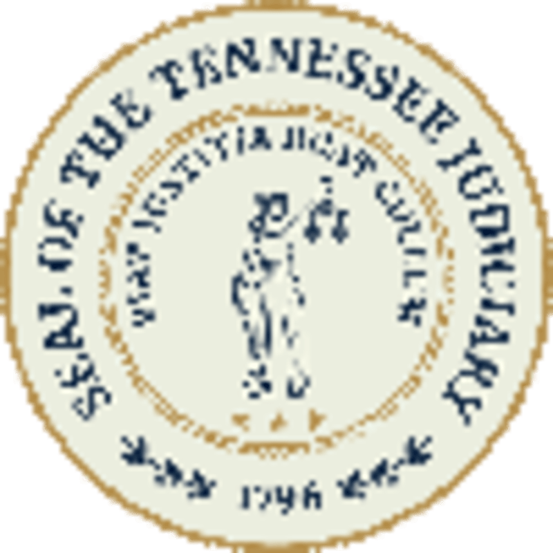 Rescue Squad Saves Dog After 300-Foot Slide on Ice - Image 3