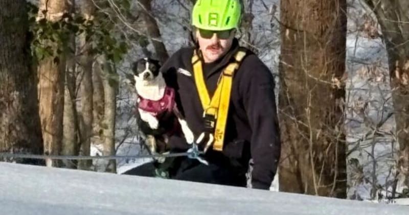 Firefighters Rescue Man and Dog From Icy Virginia Hill