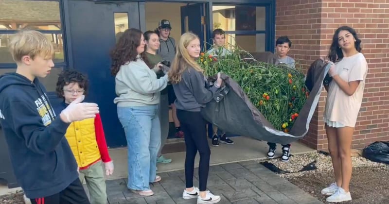 ** Seventh grade students in gloves carefully harvesting bright red Carolina Reaper peppers from record-breaking plant