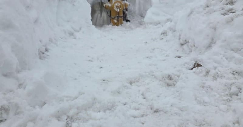 Kendall Kids Clear 40+ Fire Hydrants on Snow Day