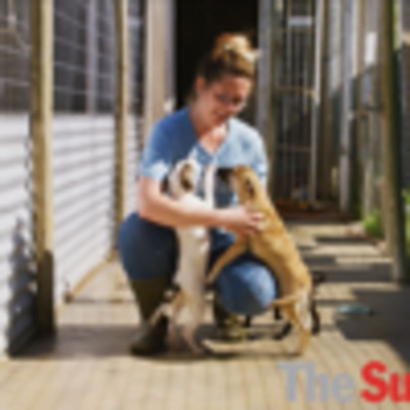 Montreal Museum Offers Free Sundays for Holocaust Education - Image 3