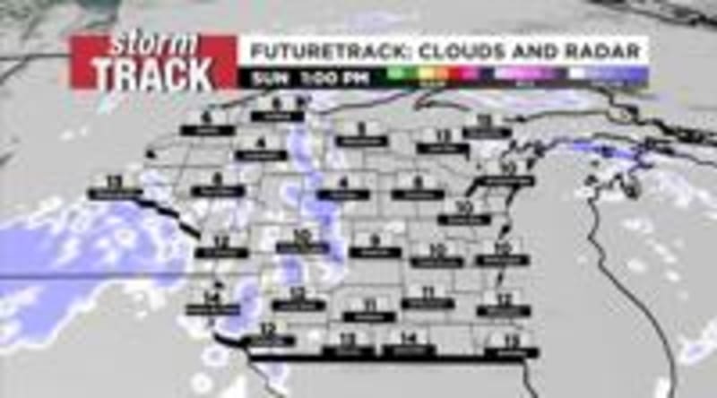 Wisconsin Rescue Saves 50 Animals, Needs Adopters by Sunday - Image 5