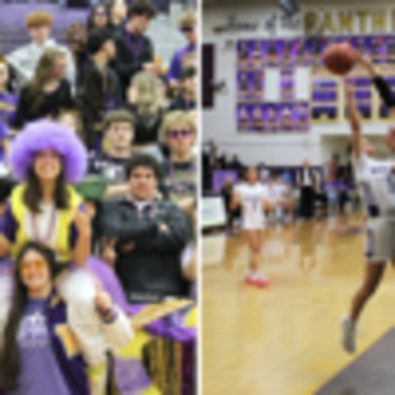 Road Worker Rescues Injured Bald Eagle in Washington - Image 2