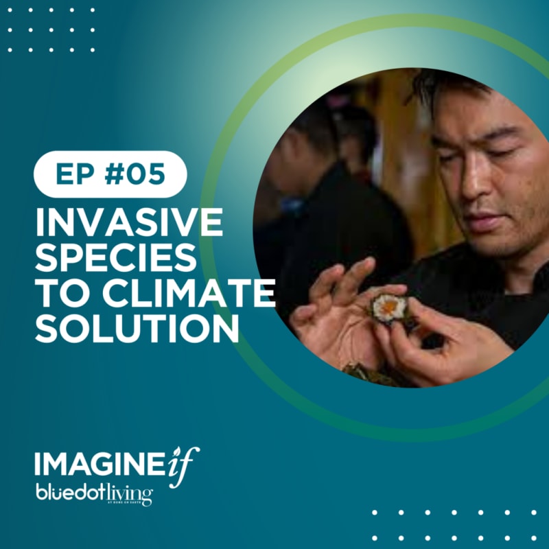 Chef Turns Invasive Species Into Climate-Saving Meals