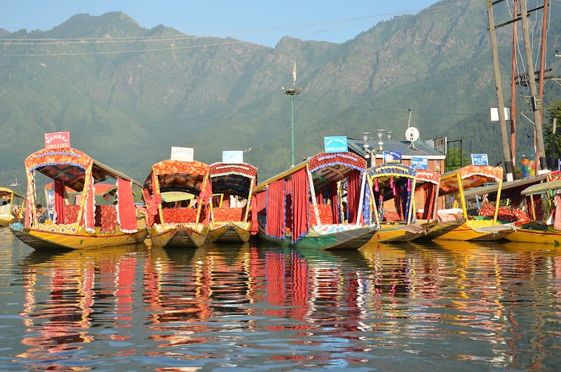 Kashmir Lifts Families From Poverty With Jobs and Training