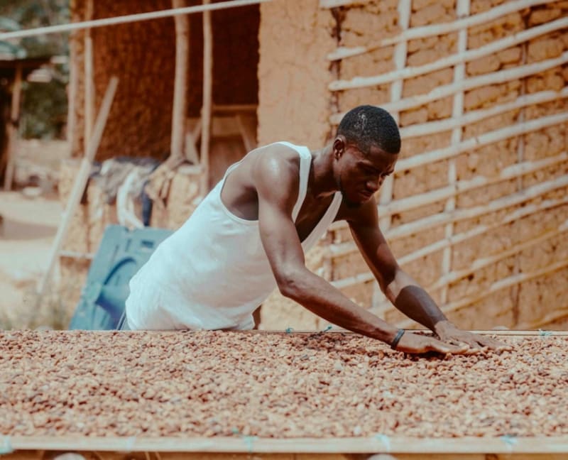 Ghana Cuts Northern Poverty With Schools and Investment - Image 2