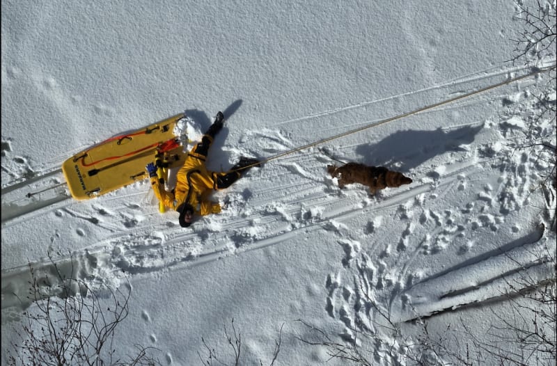 Firefighters Save Golden Retriever From Icy Massachusetts River - Image 2