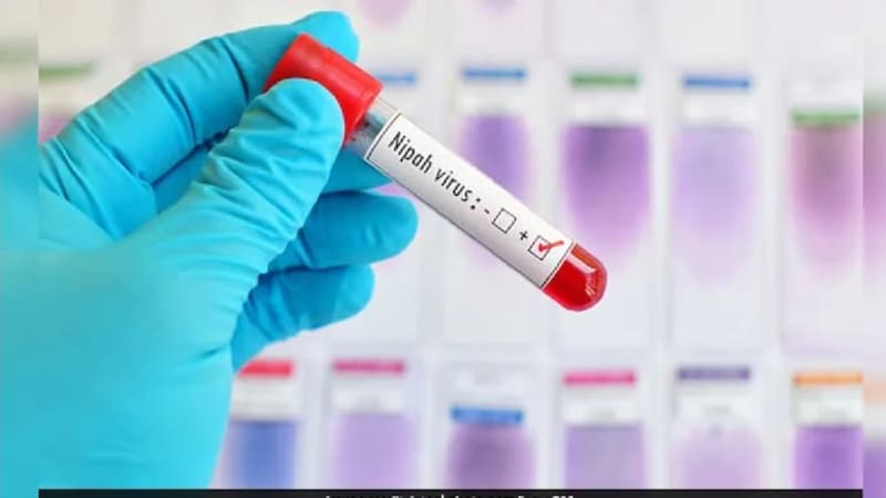 First Nipah Vaccine Enters Human Trials This April - Image 2