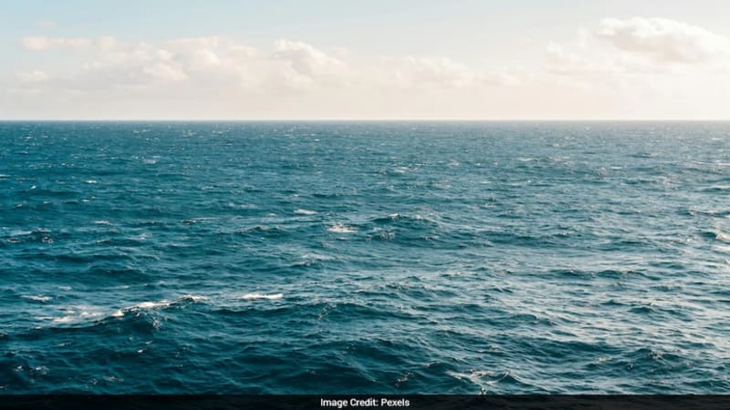 Scientists Discover Thriving Deep-Sea World 2.5 Miles Under Arctic Ocean - Image 2