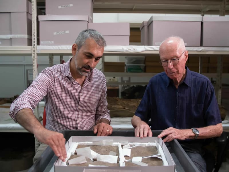 Australia's Oldest Dinosaur Fossil Found After 60 Years - Image 2