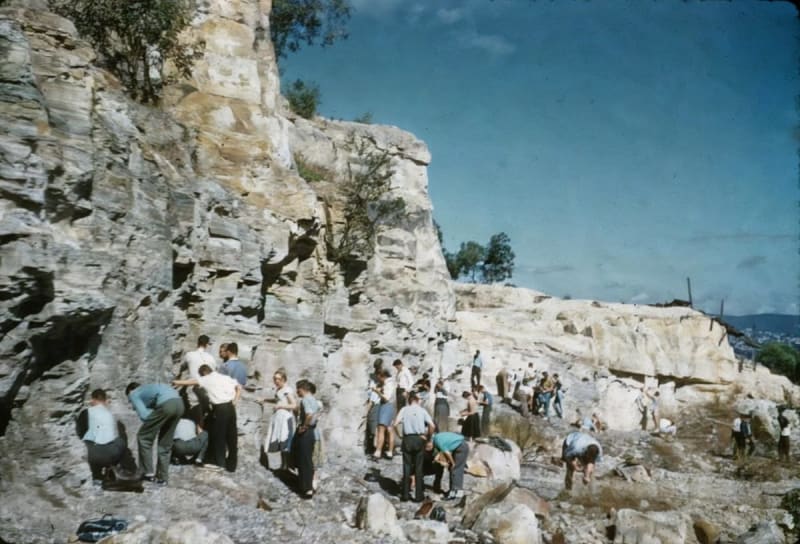 Australia's Oldest Dinosaur Fossil Found After 60 Years