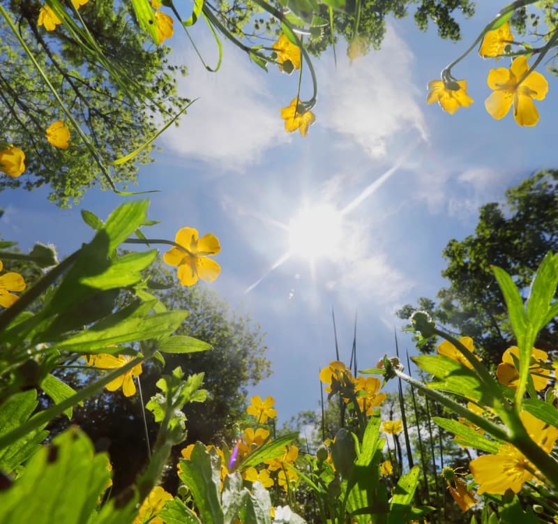 Jane Goodall's Chimp Discovery Changed What It Means Human - Image 5