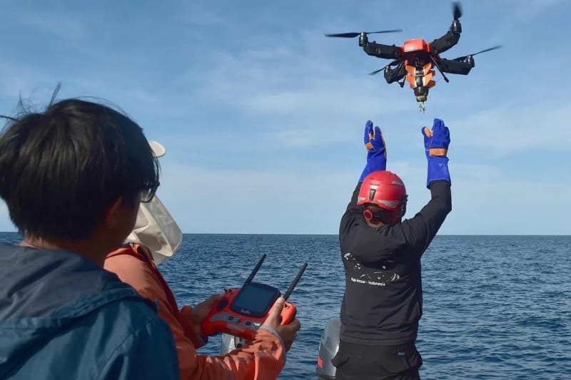 Indonesian Scientists Tag Pygmy Blue Whale With Drone