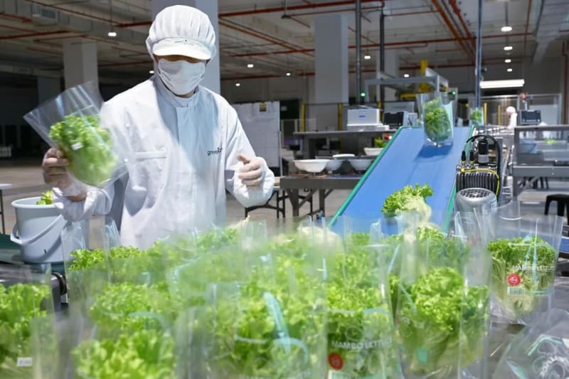 Singapore Unveils World's Tallest Indoor Vertical Farm, A Beacon of Agricultural Innovation - Image 3