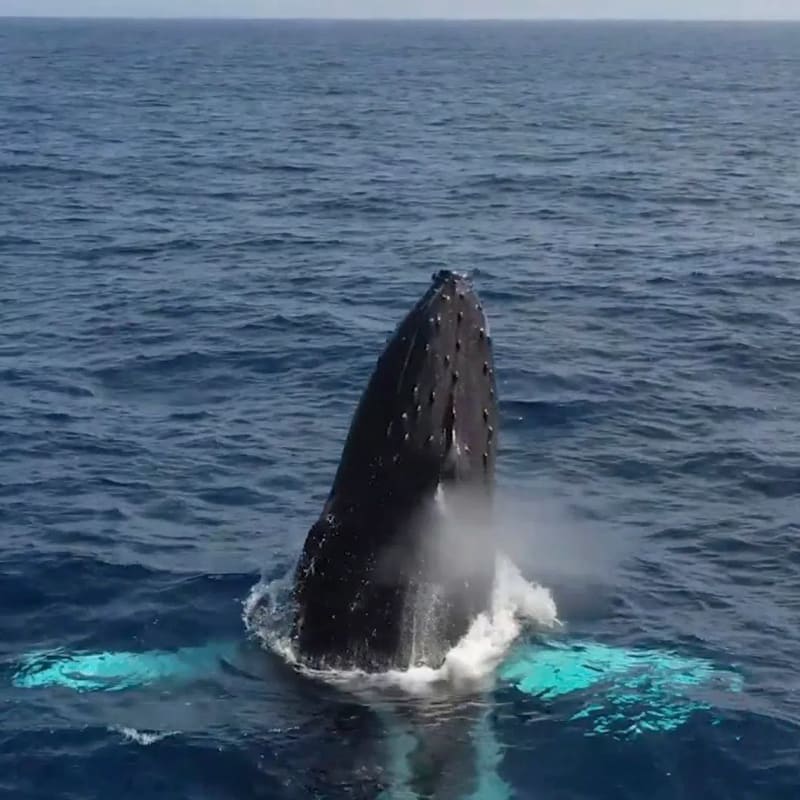 Singapore Launches AI Driving Circuit for Learners in 2028 - Image 3