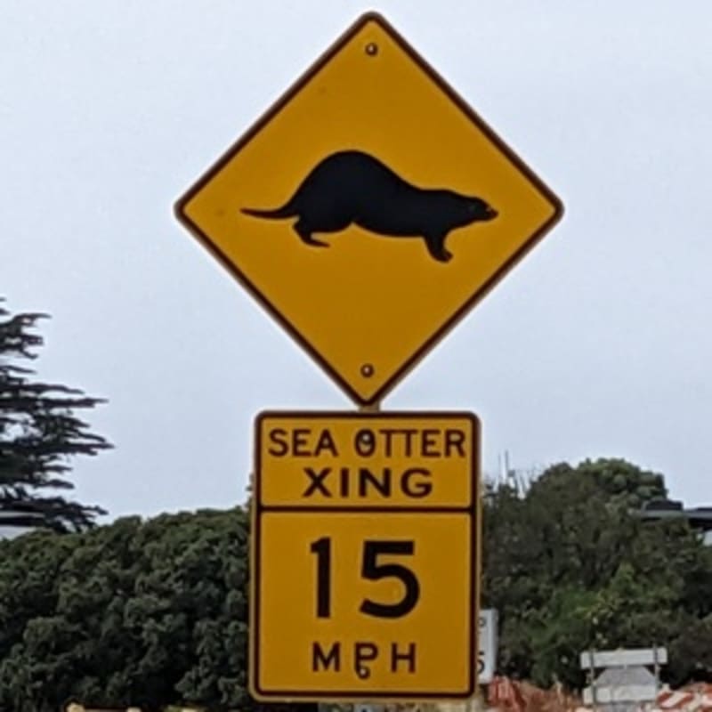 32 New Electric Vehicles Launch in 2026 Across US - Image 5