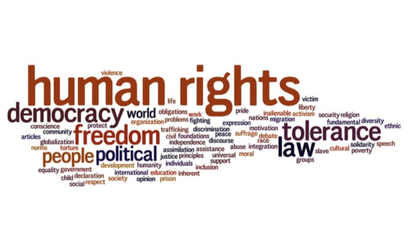 Africa Elects Human Rights Guardians in 2026