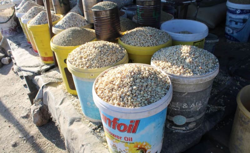 Malawi Slashes Maize Prices 60% With Government Action