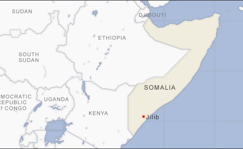 Somalia Ratifies Treaty, Unlocks East African Unity