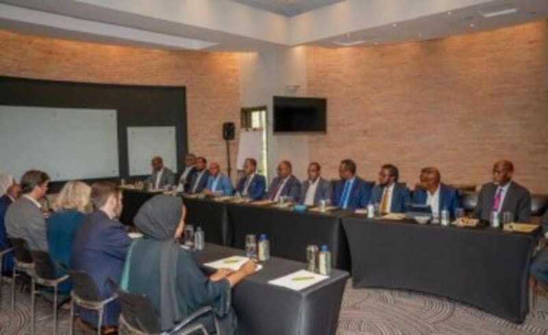 Somalia Unites Leaders to Rebuild National Health System