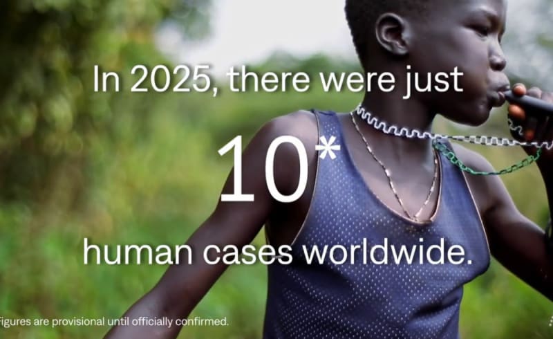 Community health worker educating villagers about Guinea worm disease prevention in Africa