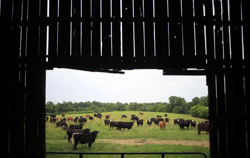 Farmers Turn Down Millions to Keep Their Land and Legacy