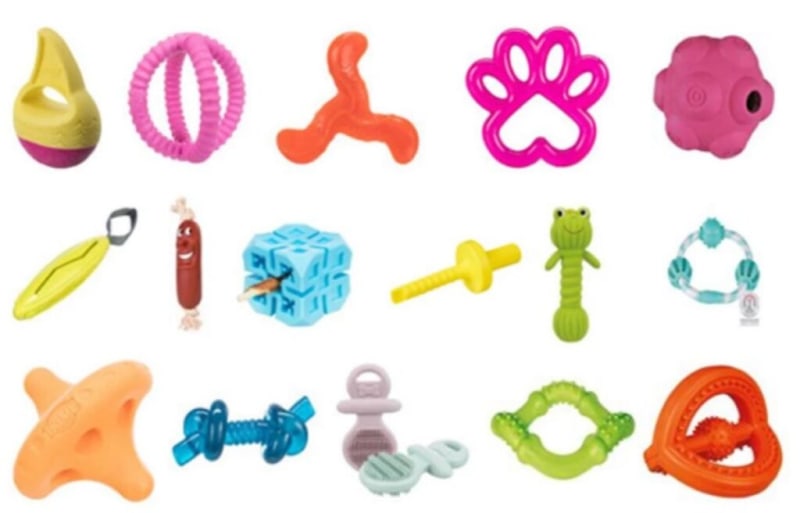 Word-Learning Dogs Share New Toys With Their Owners - Image 3