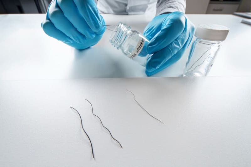 Elephant Whiskers Hold Secret to "Built-In Intelligence - Image 3