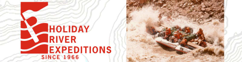 Portland Volunteers Save 3,700 Frogs From Highway Deaths - Image 4