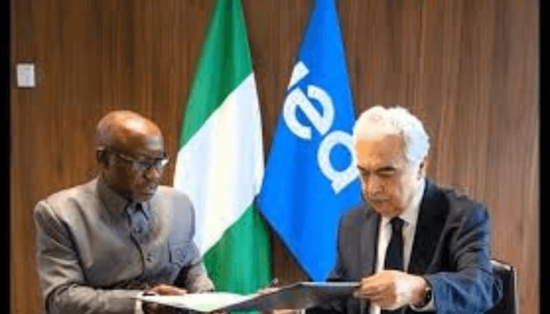 Nigeria Partners with IEA to Cut Methane, Boost Clean Gas