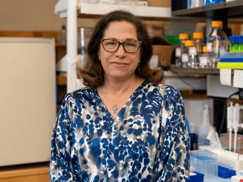 New Antibody Stops Aggressive Breast Cancer in Lab Tests