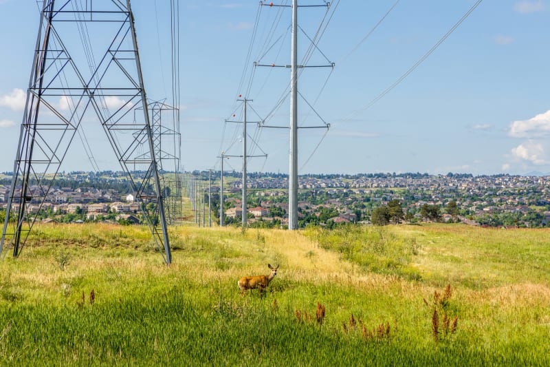 Colorado Cuts Grid Costs With New Transmission Plan