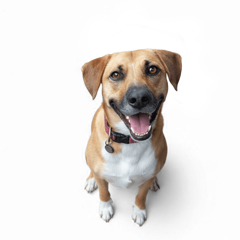 US Senate Extends Space Station Life, Orders Moon Base - Image 3