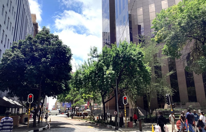Johannesburg's Downtown Gets Solar Lights and Clean Streets - Image 2