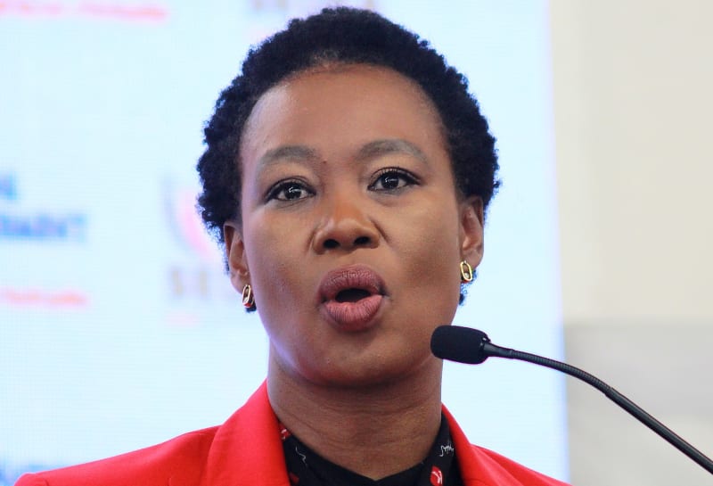 South Africa Invests $16M in Women-Owned Mining Businesses - Image 2