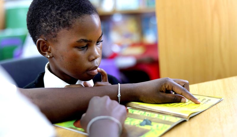 Six South African Provinces Fight Child Literacy Crisis - Image 3