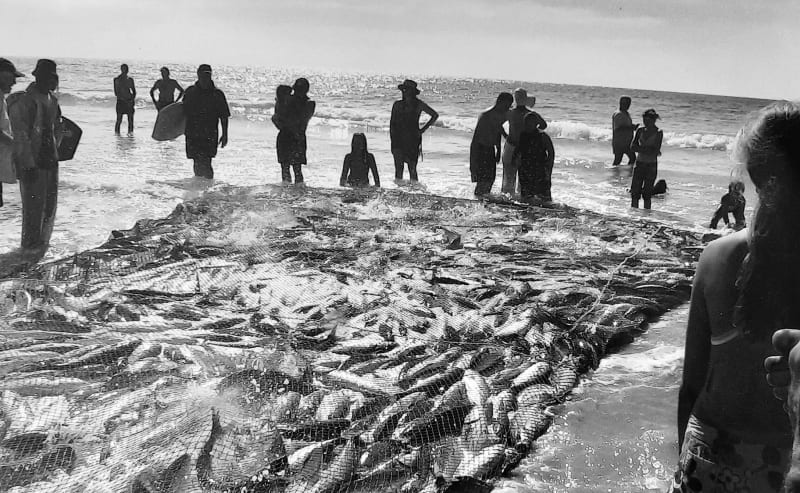 Aunty Val: 26 Years Breaking Barriers in Cape Fishing - Image 2