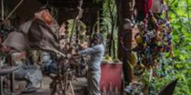 Artists Transform Historic Joburg Trial Site Into Green Oasis - Image 3