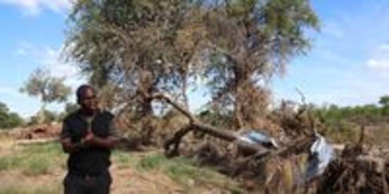 Limpopo Neighbors Form Lifeline During Deadly Floods - Image 3